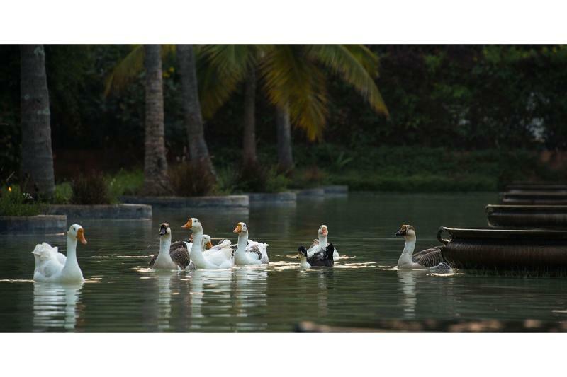 The Windflower Resort & Spa, Mysore Bagian luar foto